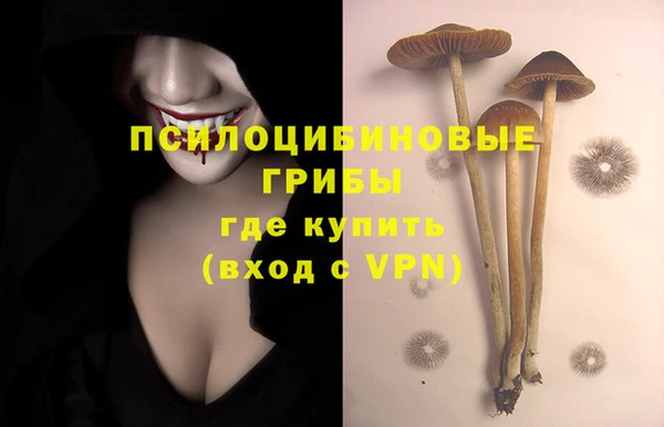 стафф Покровск