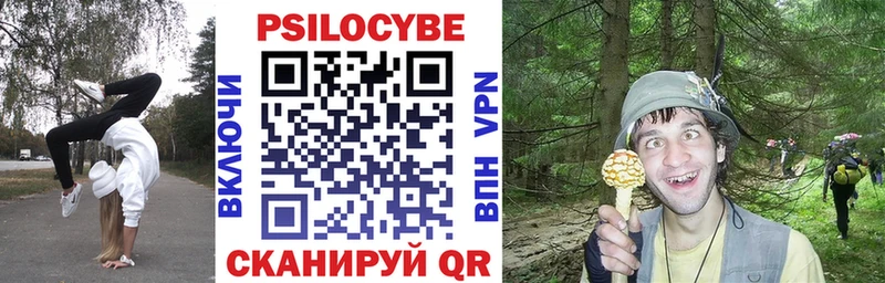 продажа наркотиков  Котельники  Псилоцибиновые грибы Psilocybe 