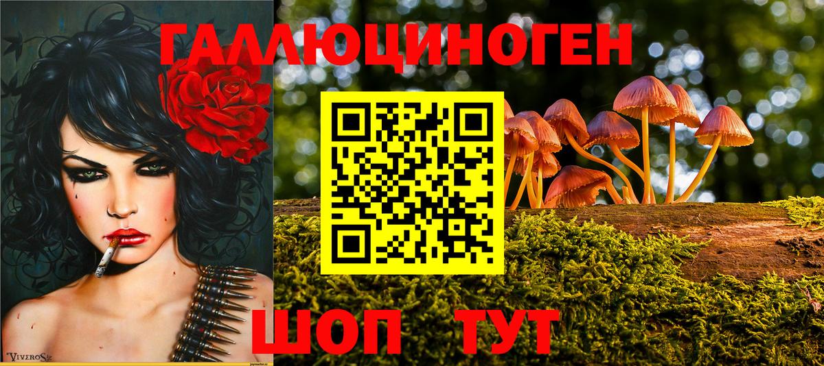 Псилоцибиновые грибы ЛСД Котельники