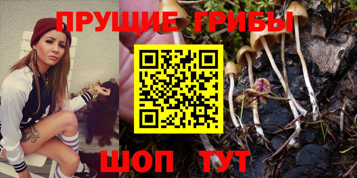 Псилоцибиновые грибы Psilocybine cubensis  Псилоцибиновые грибы Psilocybine cubensis  Вход с VPN  Котельники 